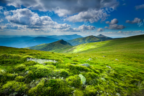 Preview: Carpatian summer landscape