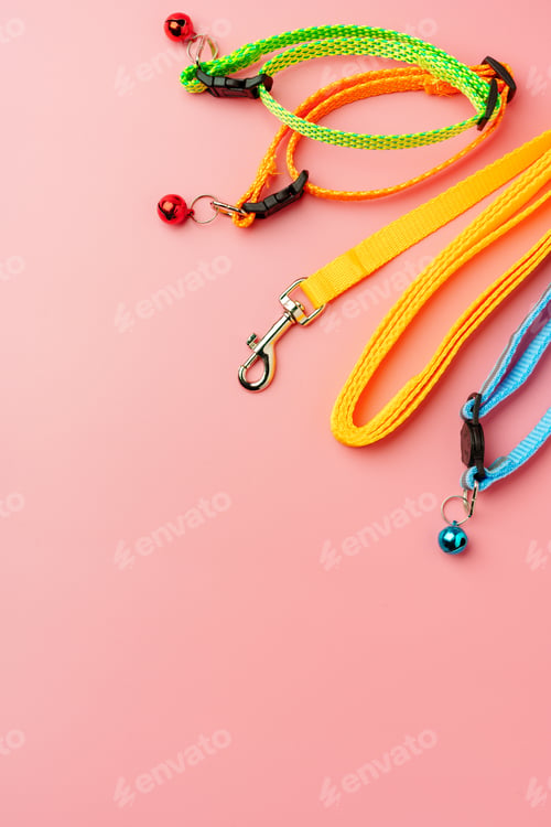 Preview: Textile pet collar on pink background studio photo