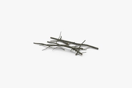 Preview: Weathered Fallen Tree Branches