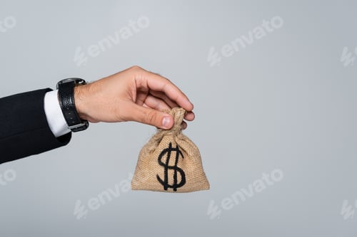 Vista previa: vista recortada del hombre sosteniendo una bolsa de dinero con signo de dólar aislado en gris