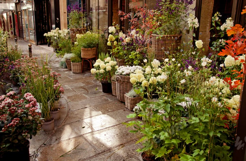 Preview: Flower shop with plants exposed on the street.