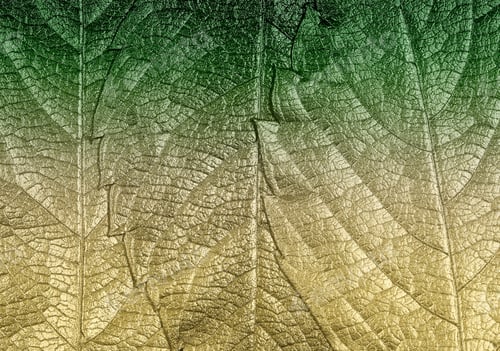 Preview: Autumn Leaves Lie On Bright Paper Background Image