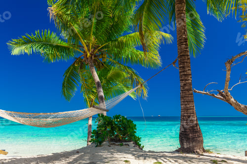 Preview: Palm trees on a white sandy beach at Plantation Island, Fiji, South Pacific