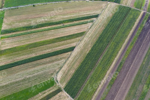Preview: Spring fields top view.