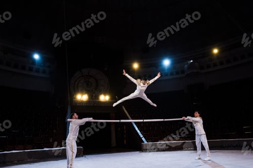 Preview: gymnast with outstretched hands jumping on pole near acrobats in circus