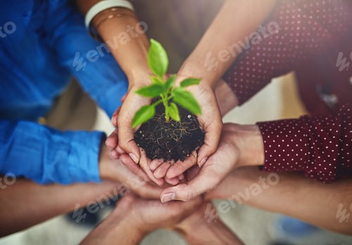 Preview: High angle shot of a group of businesspeople holding a plant growing in soil