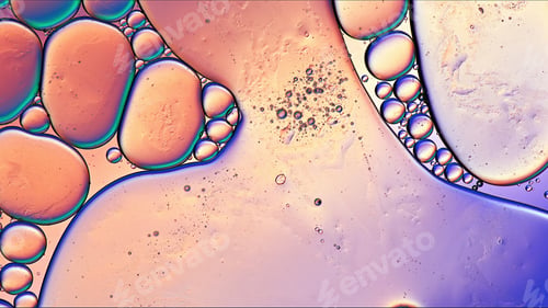 Preview: Abstract Colorful Food Oil Drops Bubbles and spheres Flowing on Water Surface