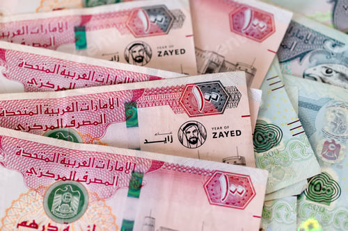 Preview: UAE dirhams, paper money, banknotes, closeup view