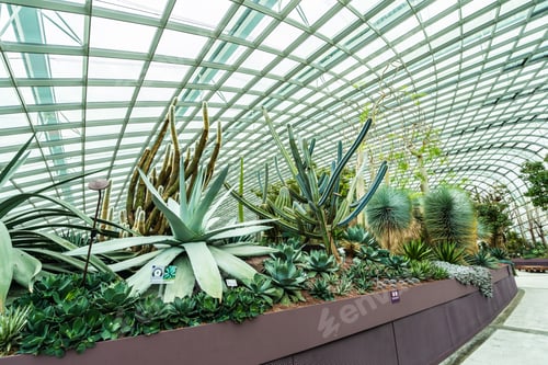 Aperçu: Beautiful architecture building flower dome garden and greenhous