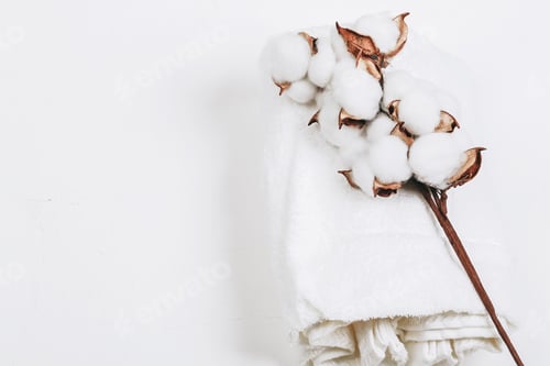 Preview: Cotton towel and coton branch. Natural eco friendly fabric