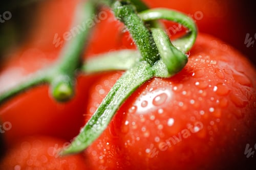 Preview: Fresh tomatoes macro.