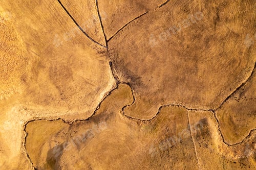 Preview: Cracks of the earth