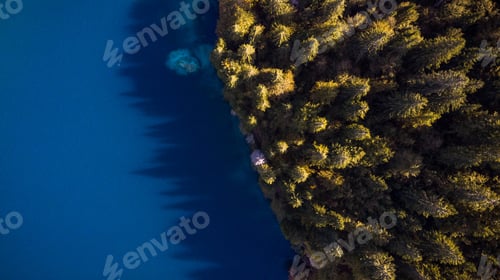 Preview: Forest Edge Over Lake. Top Down Drone Aerial Image. Vibrant Autu