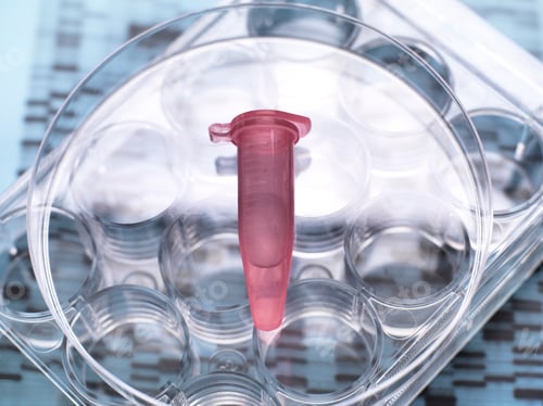 Preview: DNA sample inside vial on multi well plate, DNA gel showing results