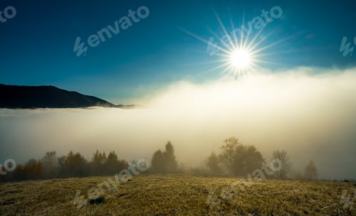 Preview: Early morning and frozen grass covered in fog under the bright sun