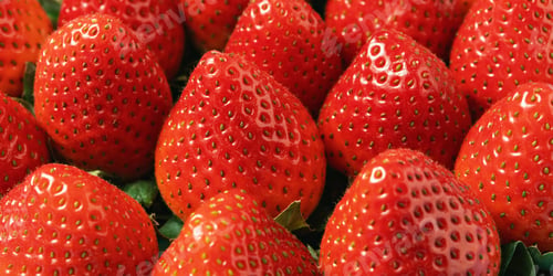 Preview: Fresh ripe strawberries in close-up. Bright red berries with green leaves create an appetizing