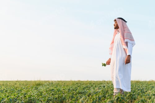 Preview: Arab businessman inspecting crops in soybean field at sunset