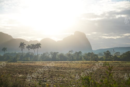 Preview: Countryside road on field near palms and hills