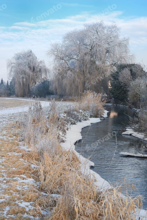 Preview: Winter