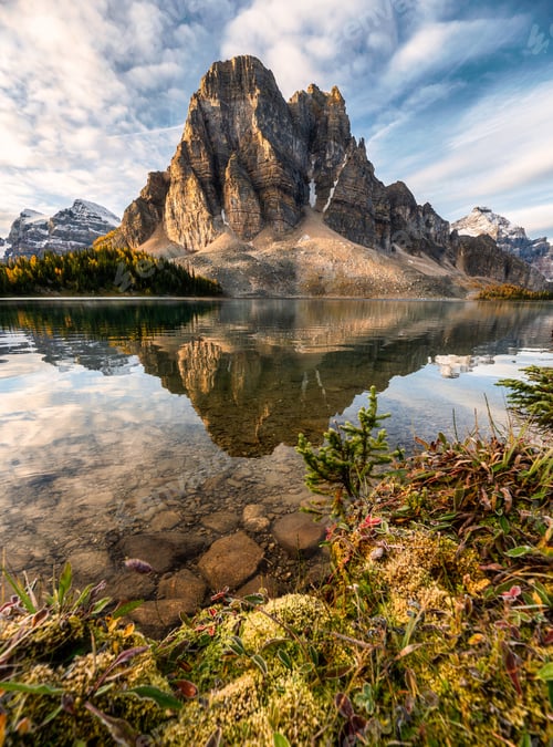 Preview: Rocky mountain reflection on Cerulean lake in Assiniboine provincial park