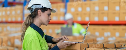 Preview: Warehouse worker working in warehouse storage.
