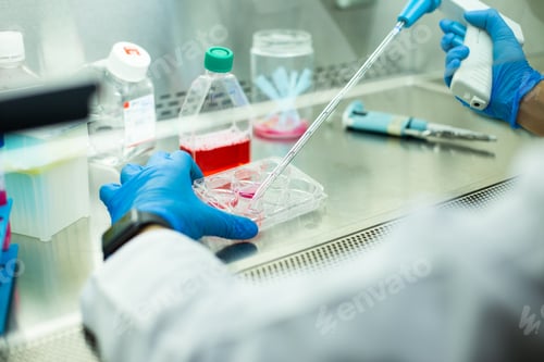Preview: cell culture at the medicine, cell culture laboratory
