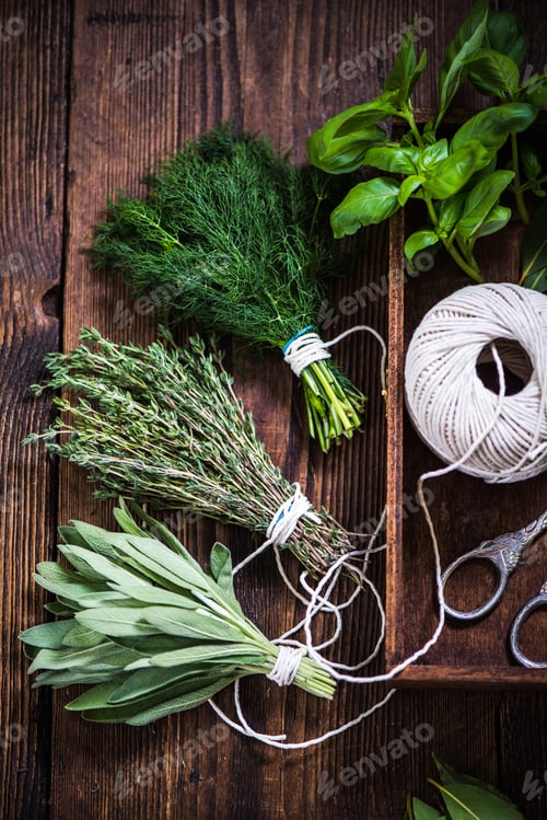 Preview: Preparation of herbs for drying