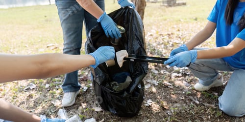 Preview: Team of Volunteers Using Gloves to Collect Trash