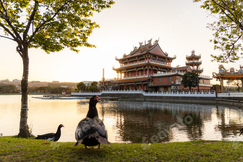 Preview: Taoyuan, Taiwan 06 march 2023: Longtan Nantian Temple in Taiwan in the evening
