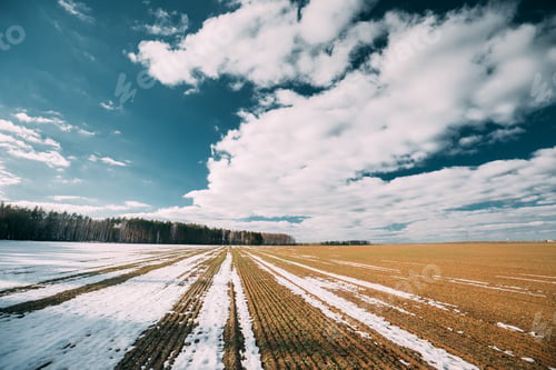 Preview: Spring Plowed Field Partly Covered Winter Melting Snow Ready For New Season. Ploughed Field In Early