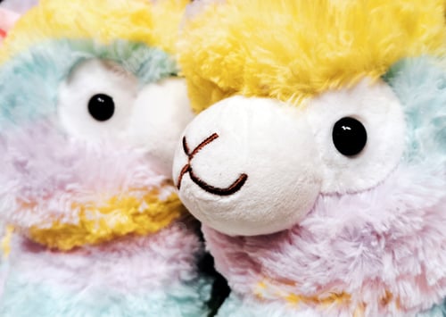 Preview: Close-up, cropped image of two fuzzy stuffed plush llama toys