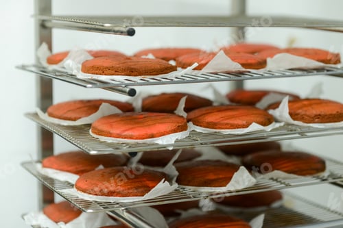 Preview: baked undecorated red velvet layers for frosted icing cake out of oven