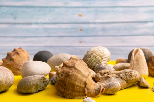 Preview: stones and shells on a blue wooden background and a yellow background.Marine theme