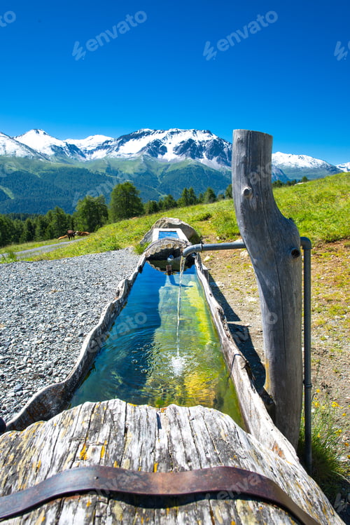 Preview: Fountain dug in a trunk in the Swiss Alps