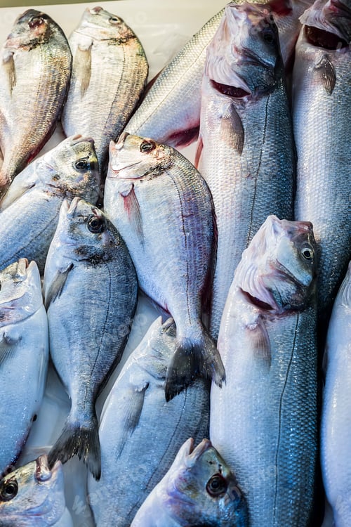 Preview: Raw fish market. Seafood healthy fish market.