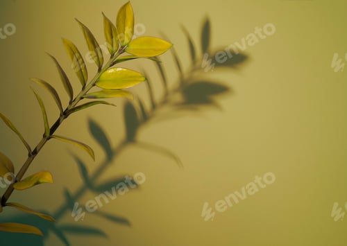 Preview: Yellow. Natural background copy space.