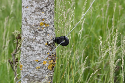 Preview: Closeup shot of an electrical wire fence around a pasture