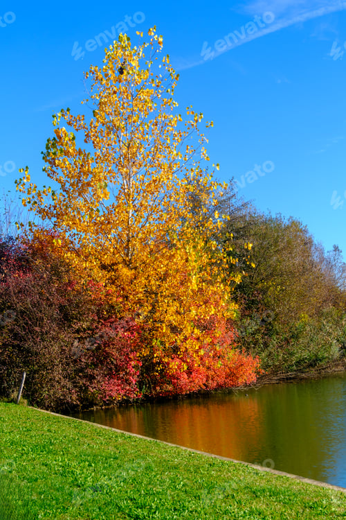 Preview: The park known as Parco Nord at Milan, Italy, in October