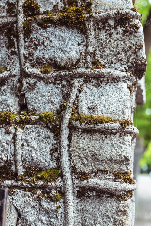 Preview: Close up of a piece of gray stone wall with moss. Textured background.