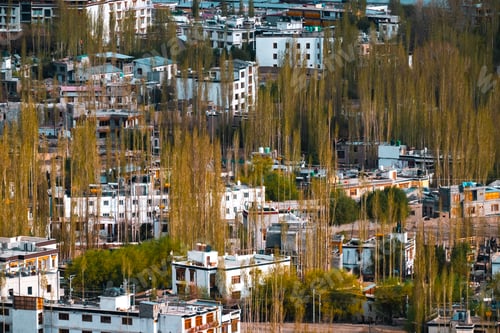 Preview: Panoramic view of Leh city in Ladakh, India, nestled in Himalayan mountains, dramatic brown ridges