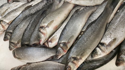 Preview: Fresh sibas fish on ice for sale in market