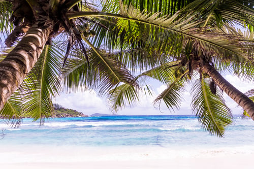 Preview: La Digue, seychelles