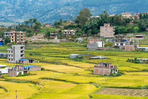 Preview: Rice Paddy and Houses