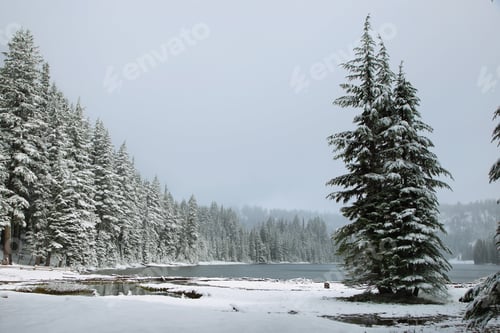Preview: Todd lake in a snowy day on June