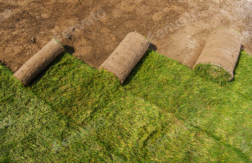 Preview: Roll of Natural Grass Turfs Rolls