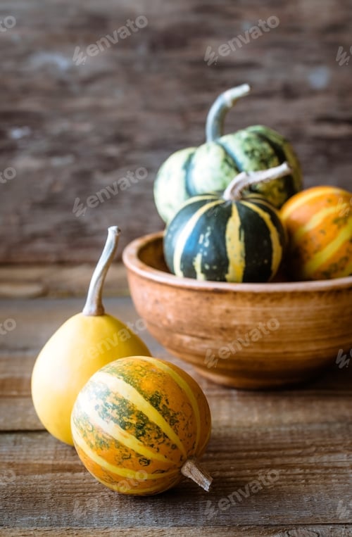 Preview: Variety of ornamental pumpkins
