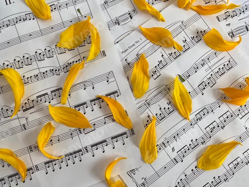 Visualização: Partitura com pétalas de flores amarelas