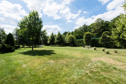 Preview: shadows on grass near green trees and small bushes in park