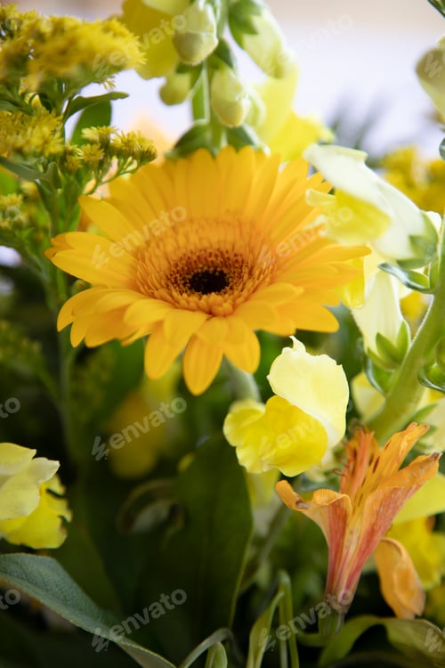 Preview: Yellow Flowers Bloom in Natural Light