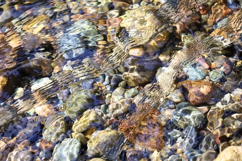 Preview: clear water flowing over rocks in a shallow stream of water